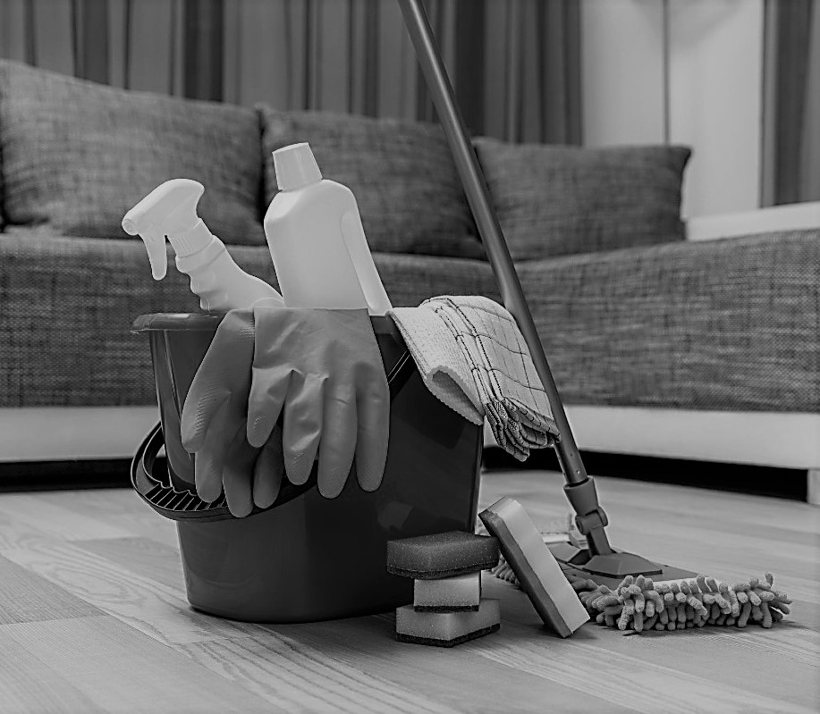 Cleanness_kasdienes_paslaugos Kibiras su įvairiomis valymo priemonėmis