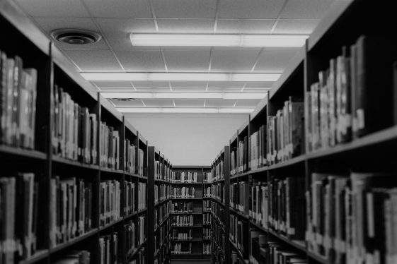 Biblioteka, knygų lentynos pilnos knygų